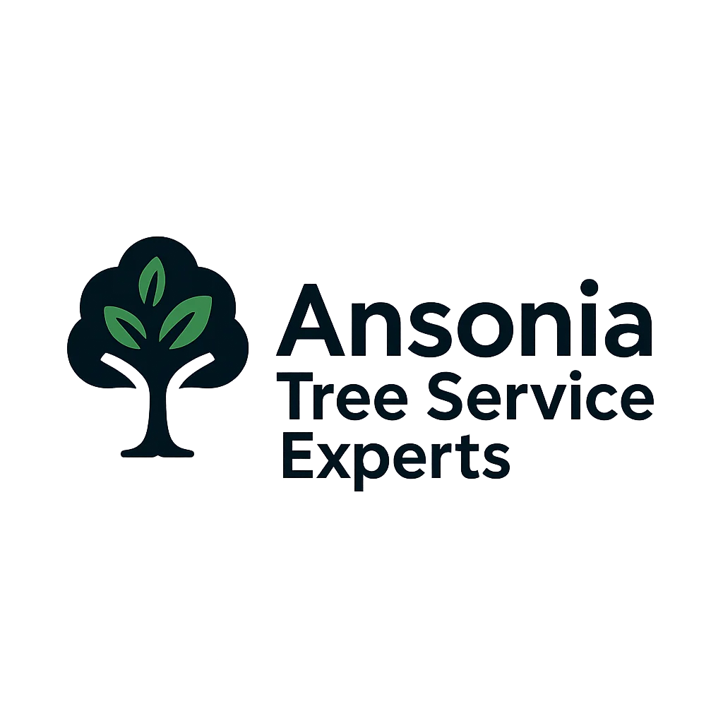 Ansonia Tree Service Experts